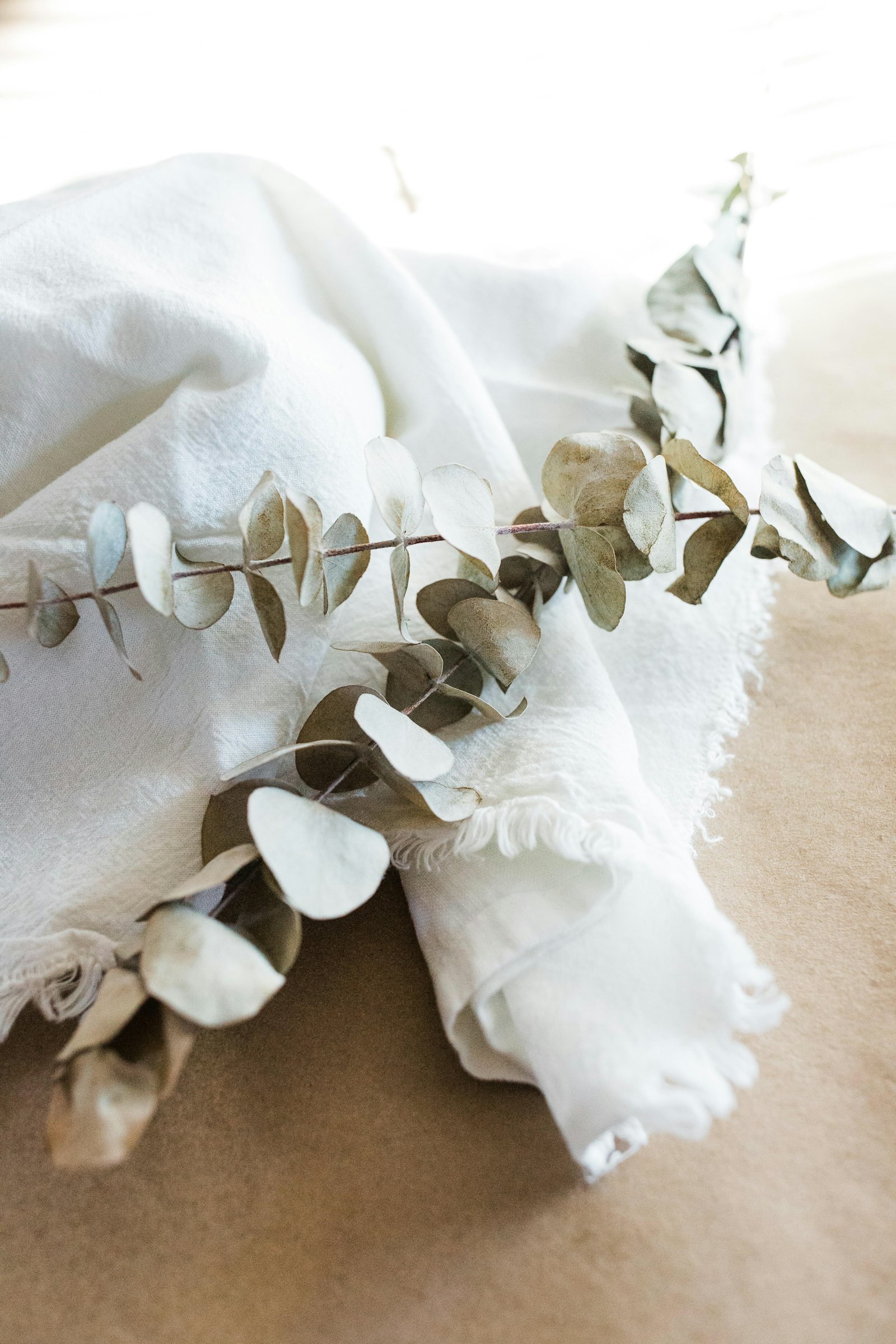 Fresh green leaves laid across folded white cloth